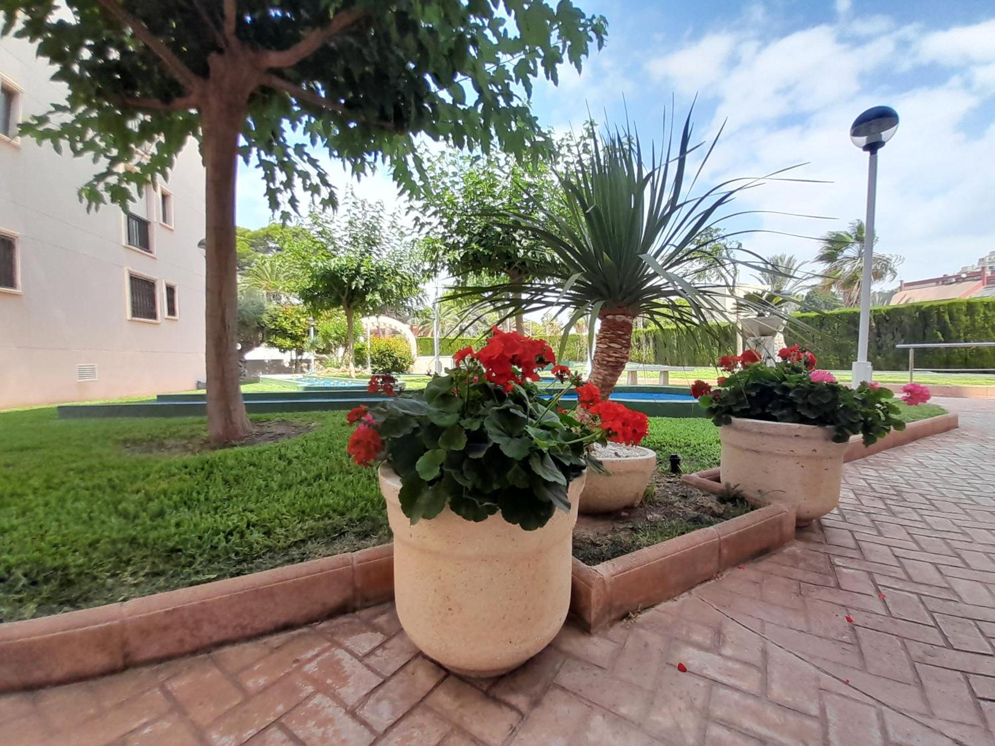 Costa Blanca Holiday Rental Altamar II El Campello Esterno foto